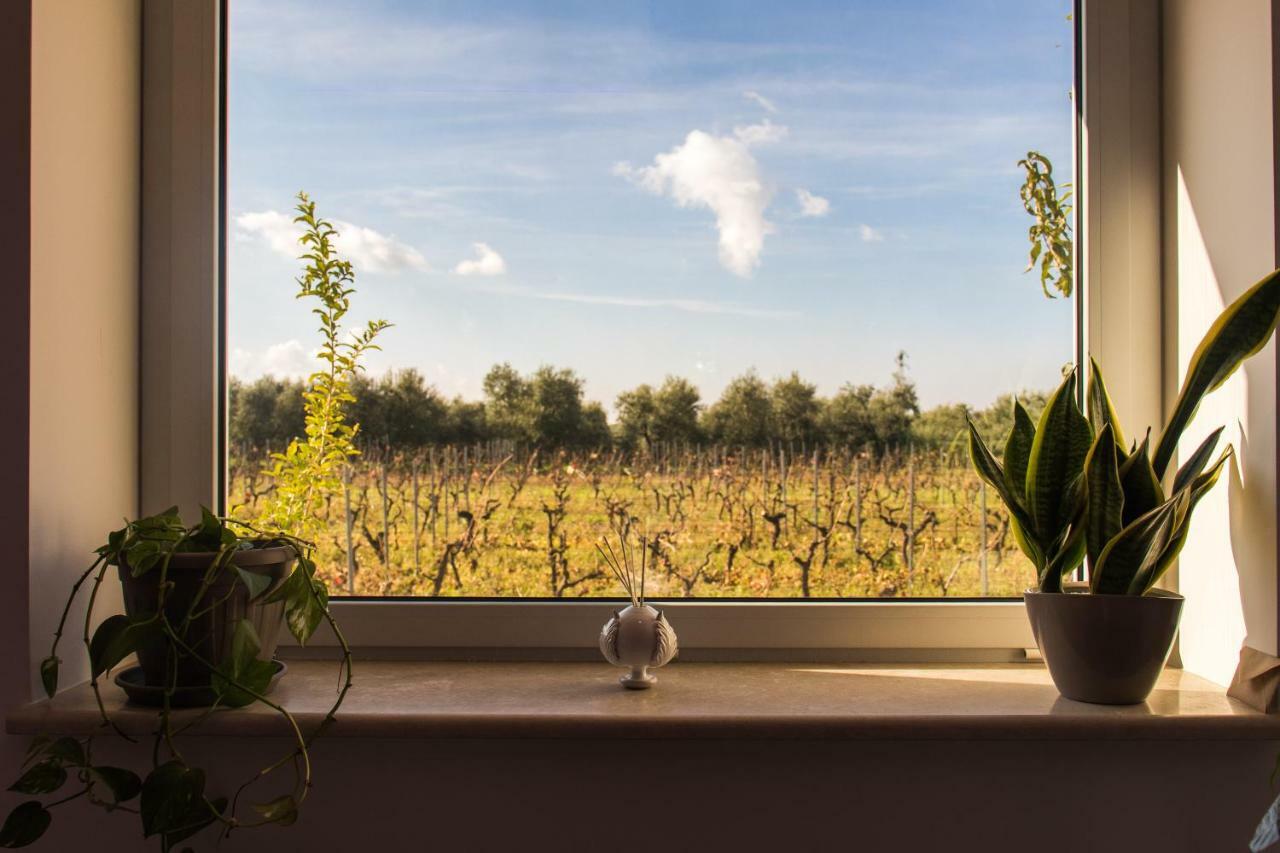 Tenuta Vigna Del Noce Корато Екстер'єр фото